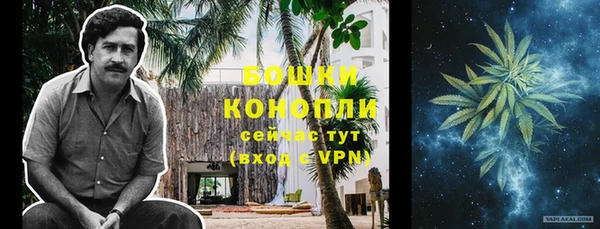 стафф Белокуриха