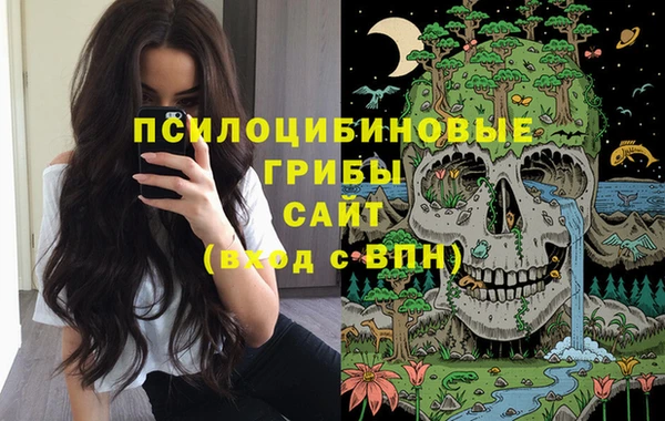 ПСИЛОЦИБИНОВЫЕ ГРИБЫ Белоозёрский