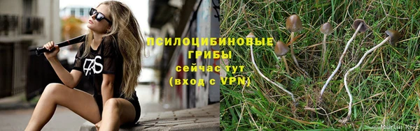 стафф Белокуриха