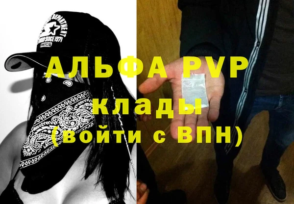 ПСИЛОЦИБИНОВЫЕ ГРИБЫ Белоозёрский
