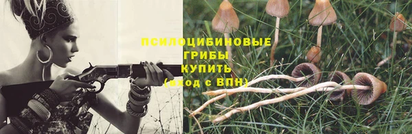 стаф Беломорск